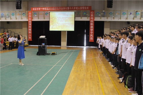 电子pg下载入口