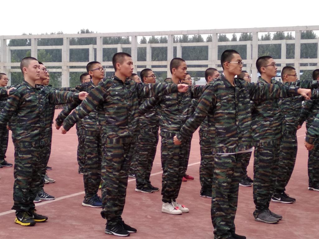 电子pg下载入口