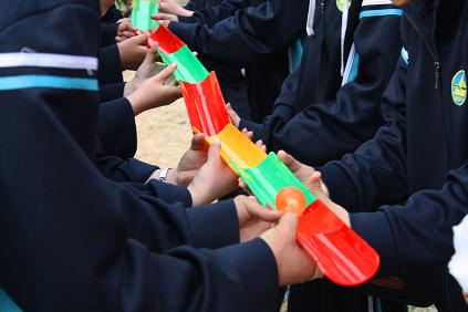 电子pg下载入口