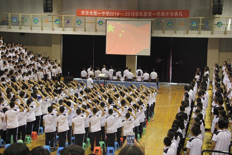 电子pg下载入口