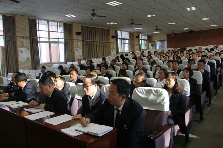 电子pg下载入口