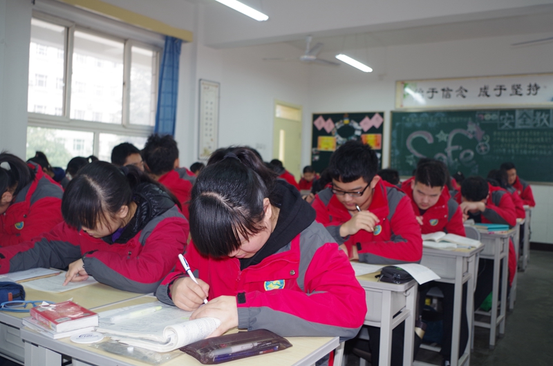 电子pg下载入口