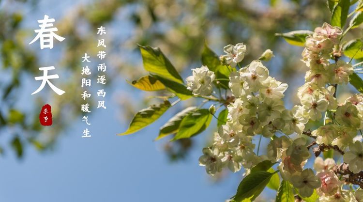 电子pg下载入口