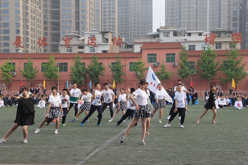 电子pg下载入口