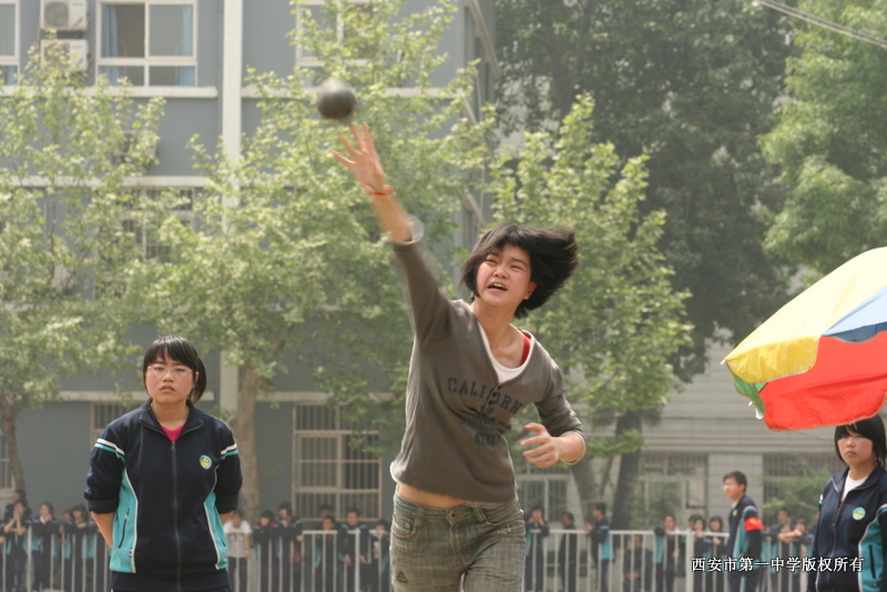 电子pg下载入口