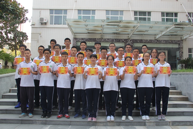 电子pg下载入口