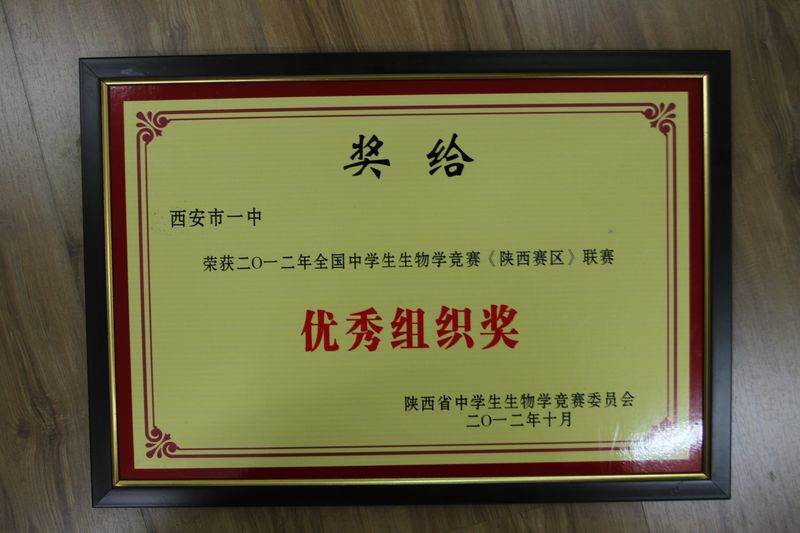 电子pg下载入口