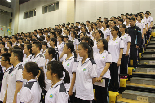 电子pg下载入口