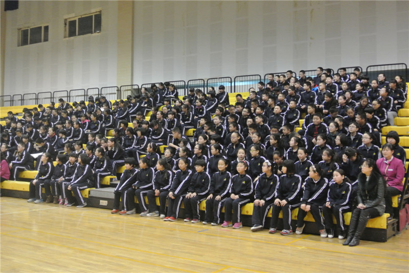 电子pg下载入口