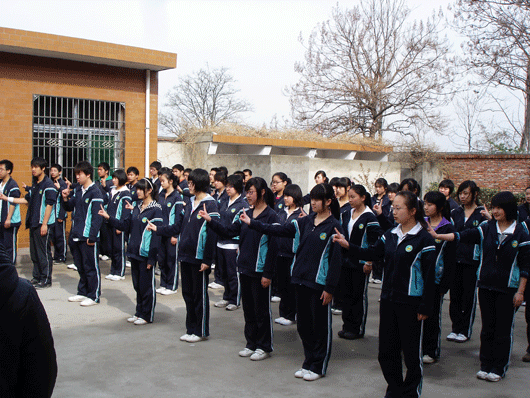 电子pg下载入口