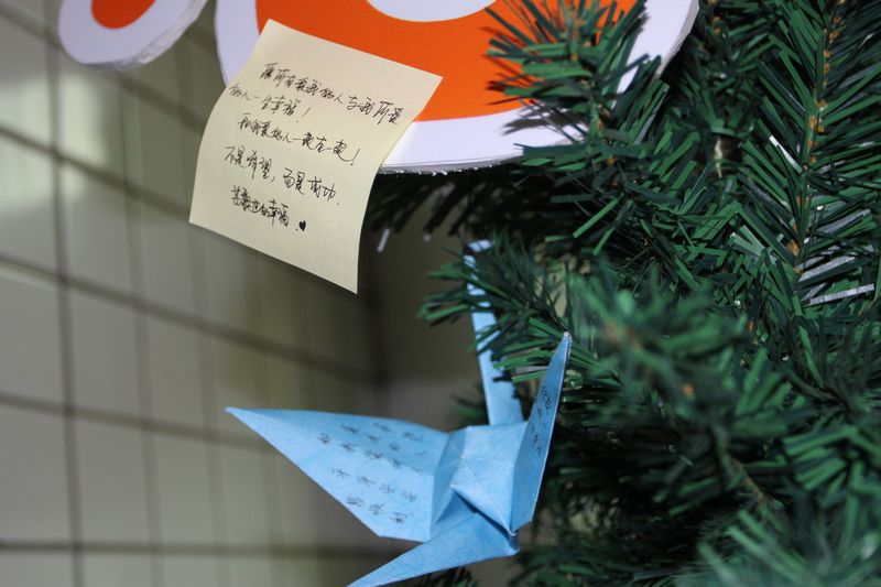 电子pg下载入口