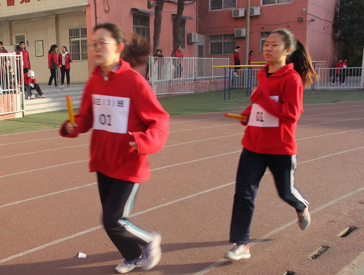 电子pg下载入口