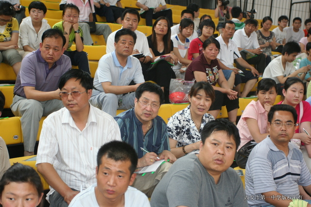 电子pg下载入口