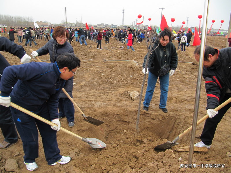 电子pg下载入口