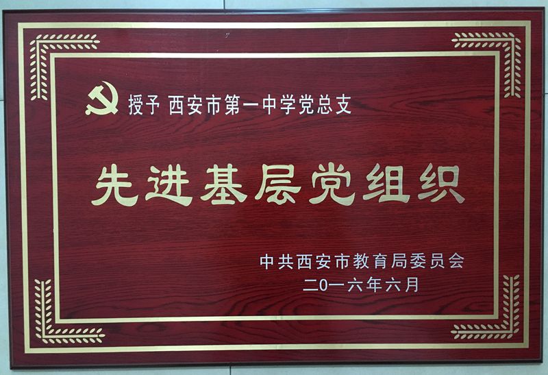 电子pg下载入口