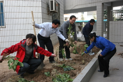 电子pg下载入口