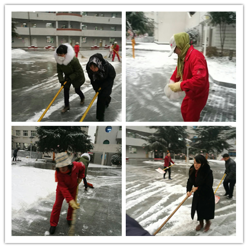 电子pg下载入口