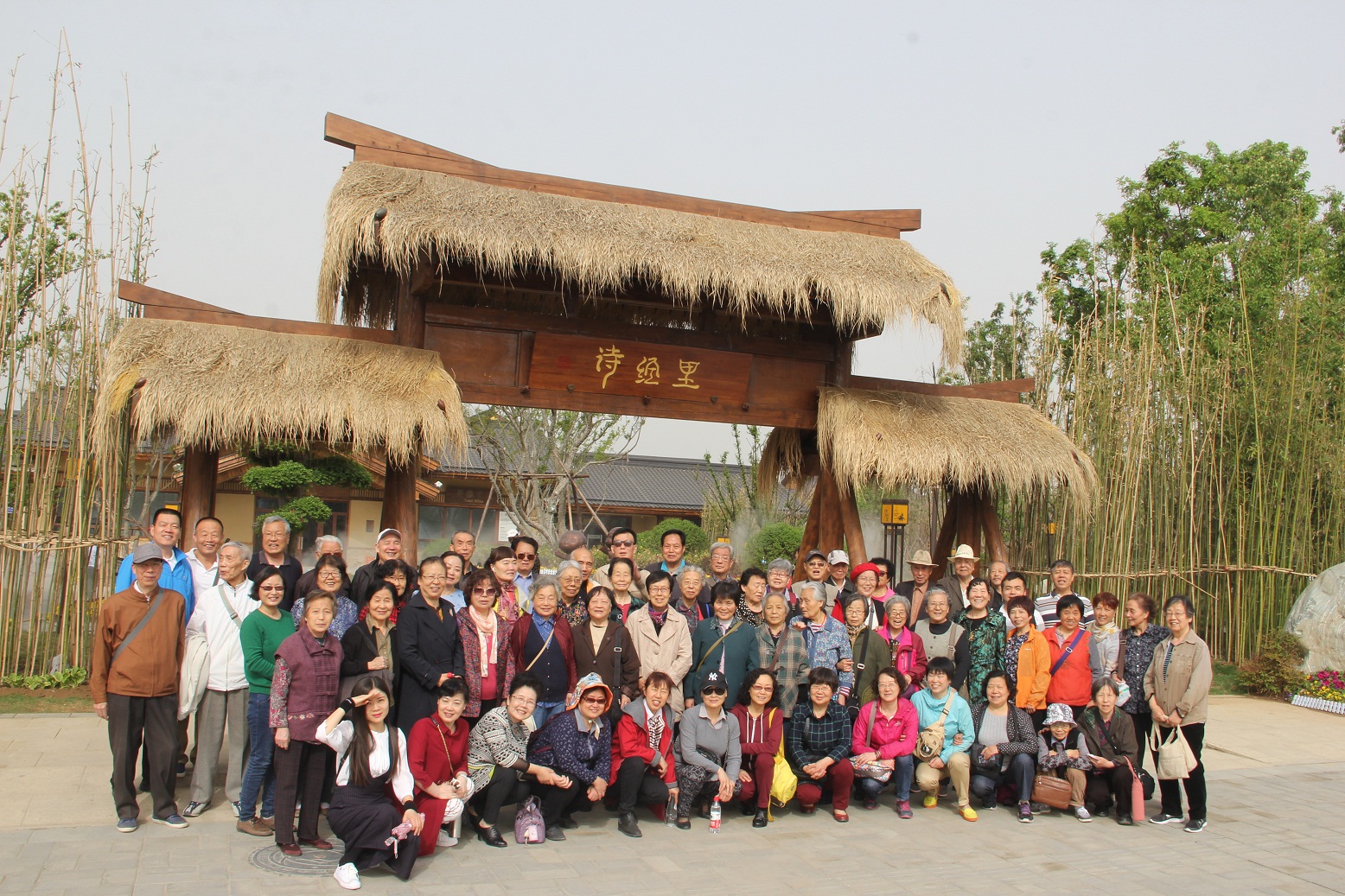 电子pg下载入口