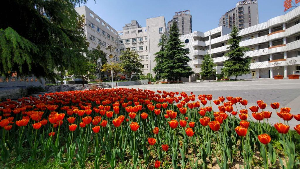 电子pg下载入口