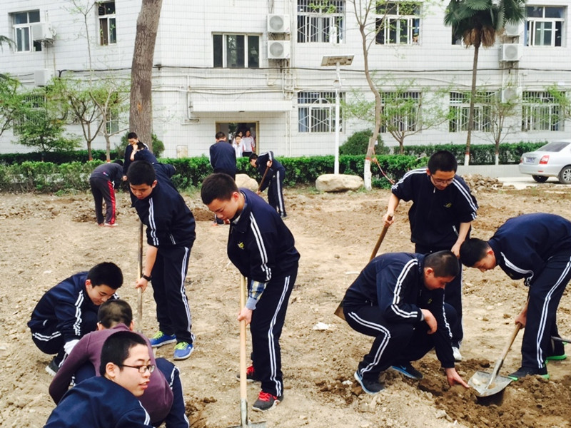 电子pg下载入口