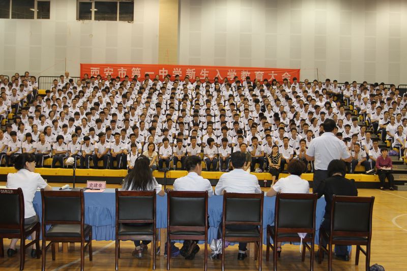 电子pg下载入口