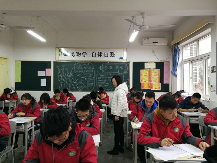 电子pg下载入口