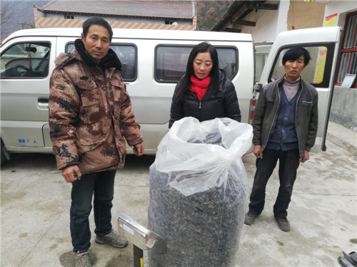 电子pg下载入口