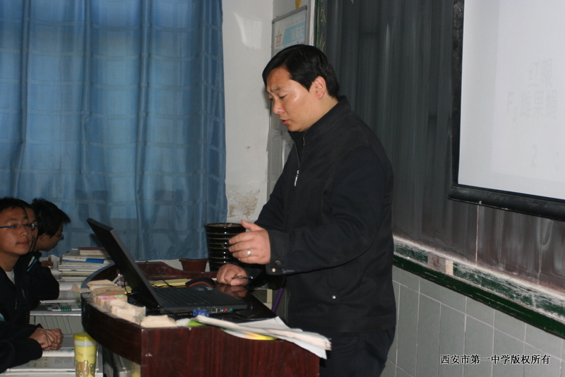 电子pg下载入口