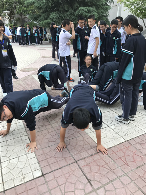 电子pg下载入口
