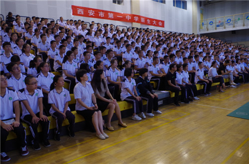 电子pg下载入口