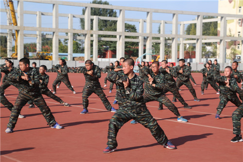 电子pg下载入口