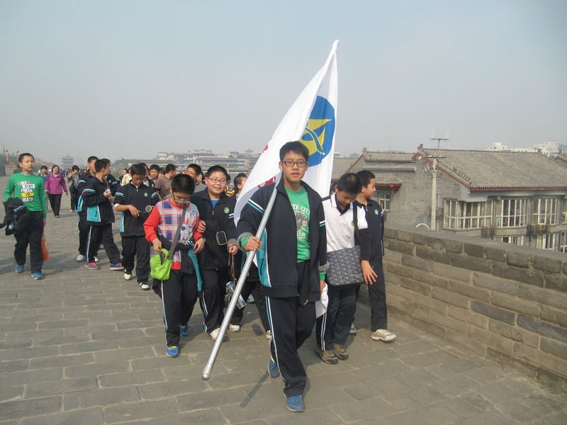 电子pg下载入口