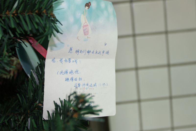 电子pg下载入口