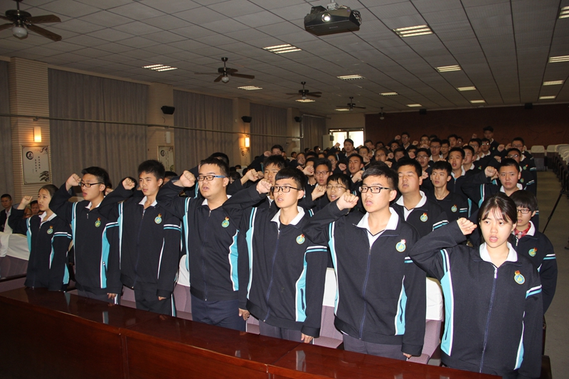 电子pg下载入口