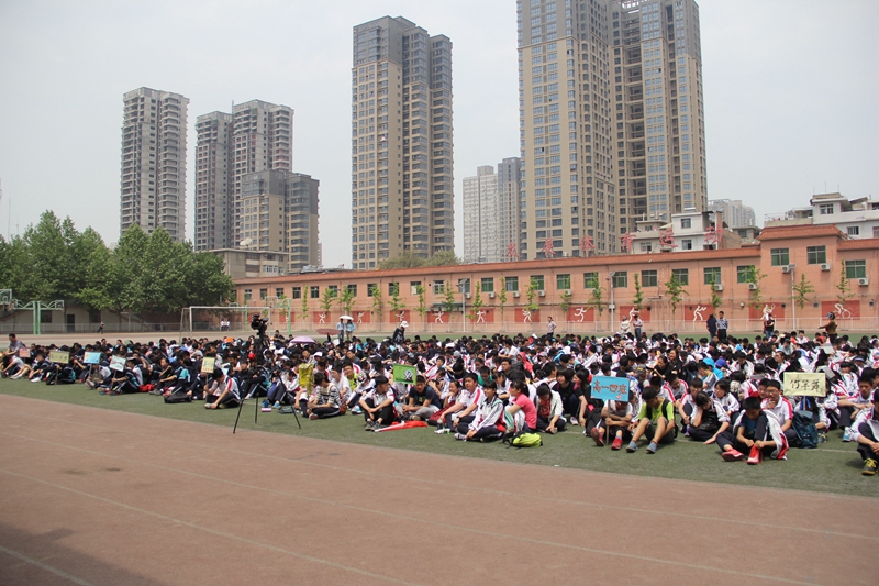 电子pg下载入口