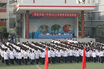 电子pg下载入口