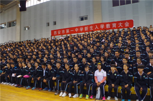 电子pg下载入口