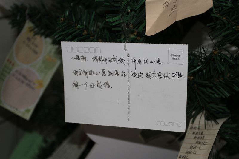 电子pg下载入口