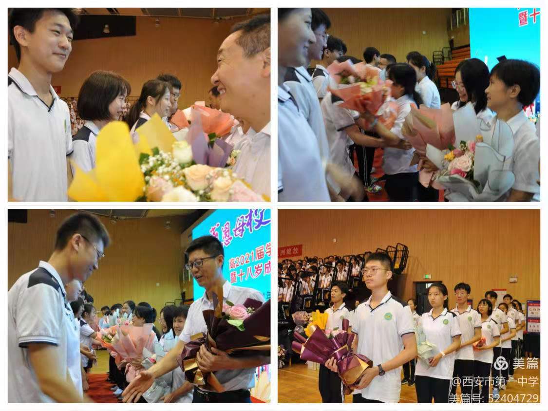 电子pg下载入口