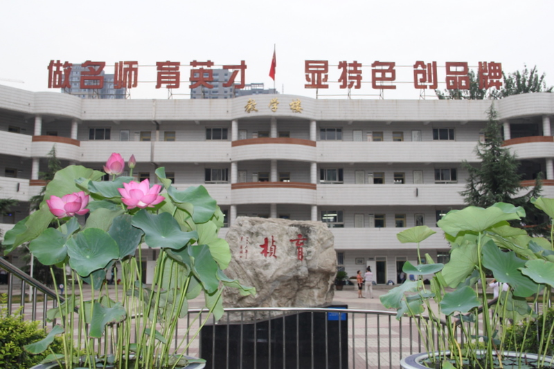 电子pg下载入口