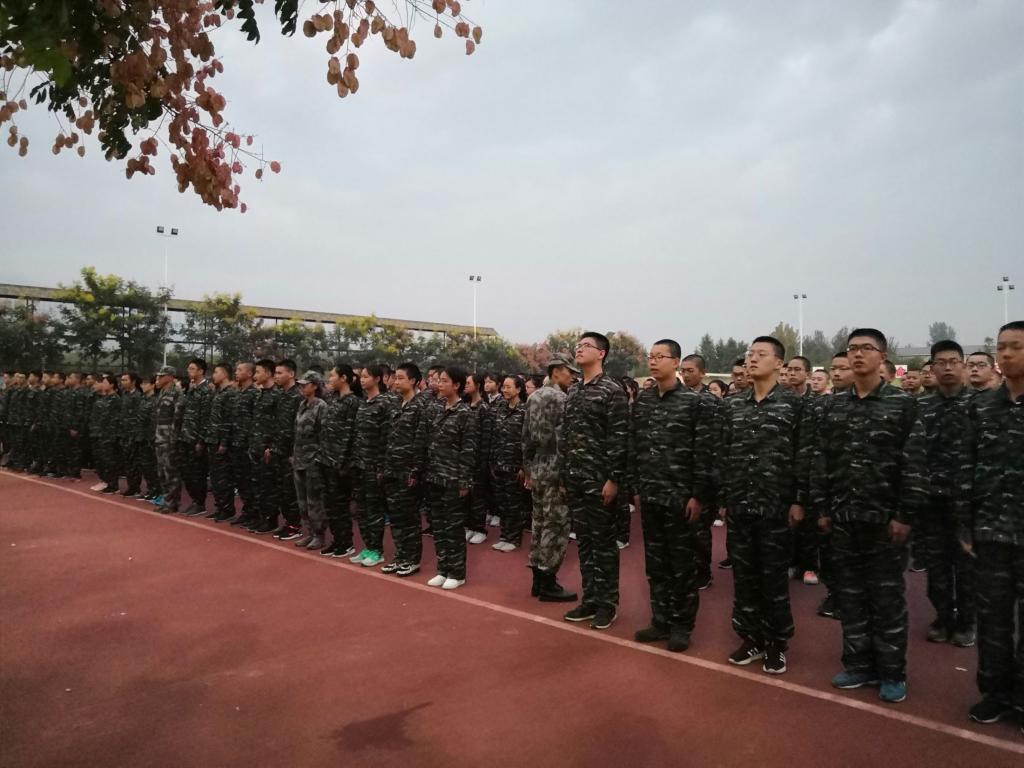 电子pg下载入口