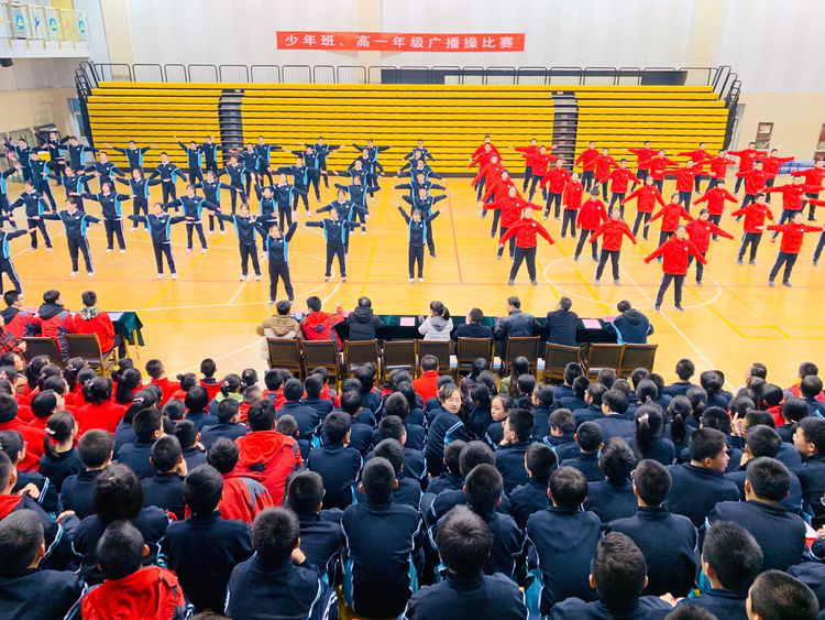 电子pg下载入口