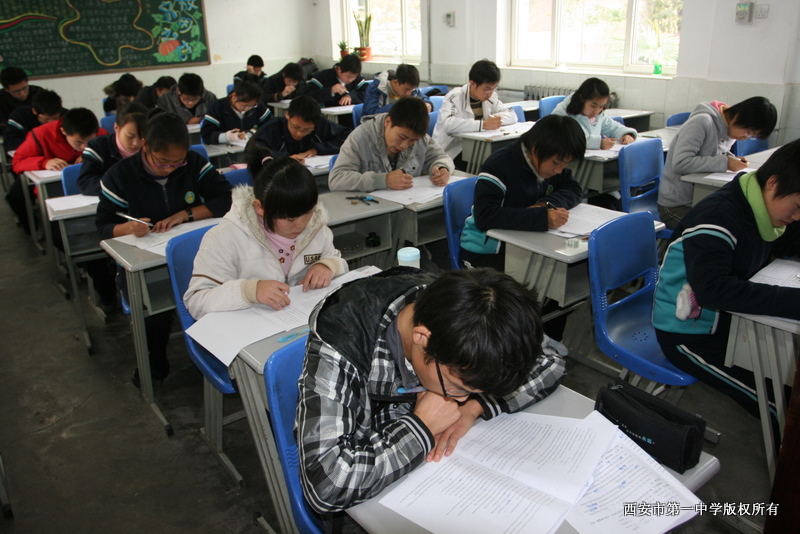 电子pg下载入口