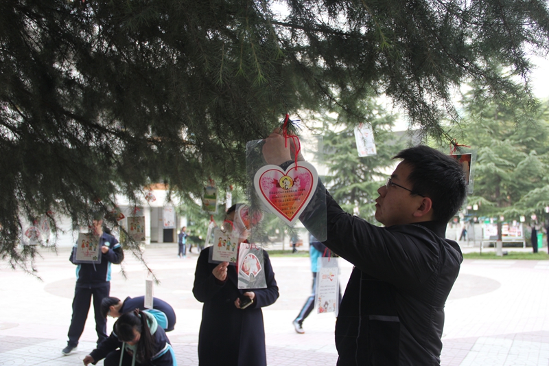 电子pg下载入口