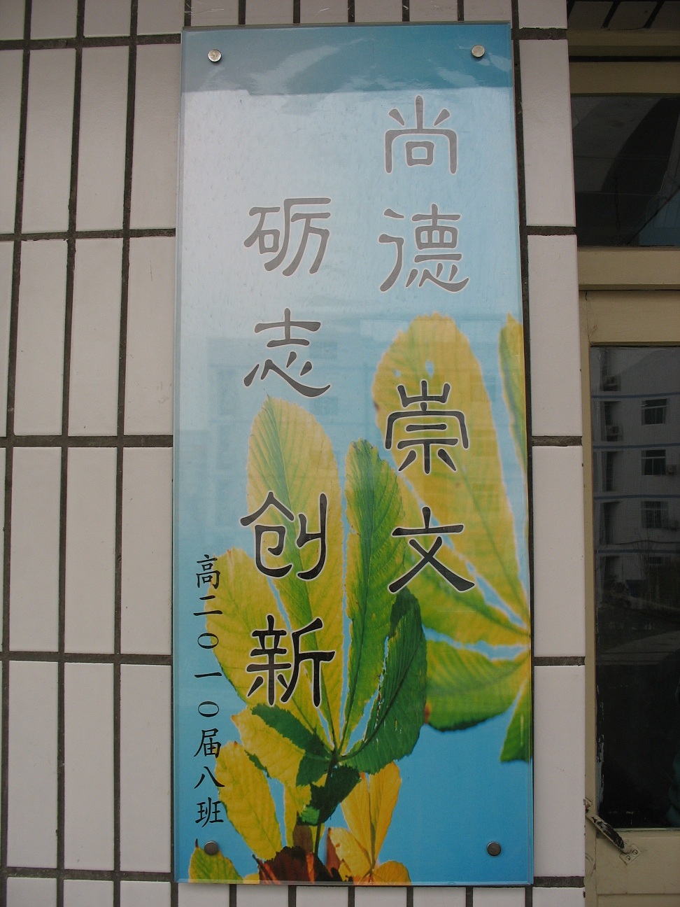 电子pg下载入口