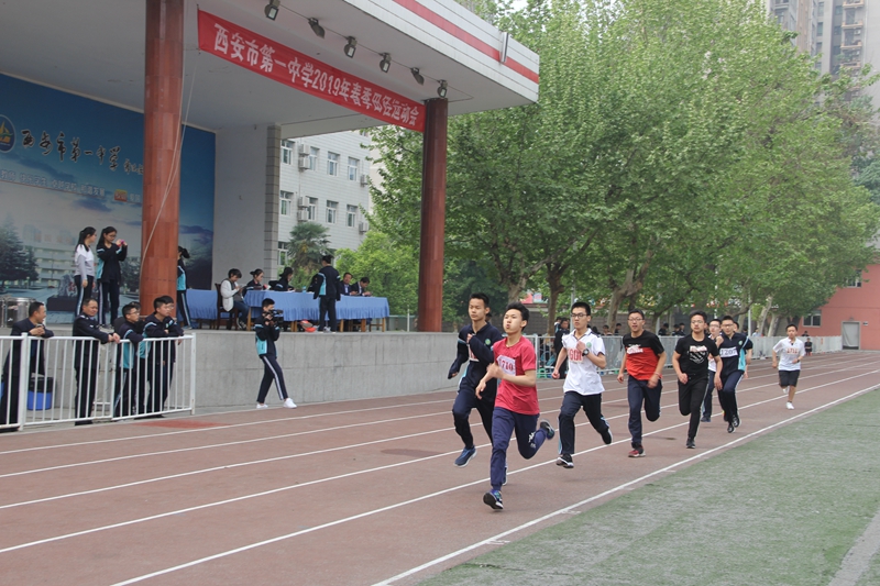 电子pg下载入口