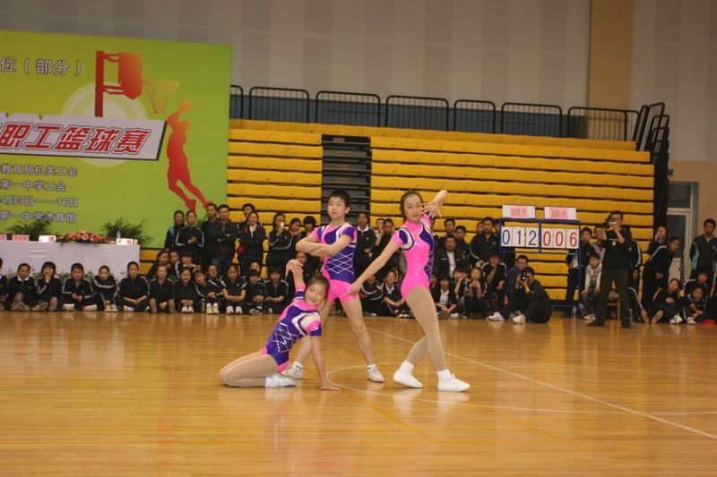 电子pg下载入口