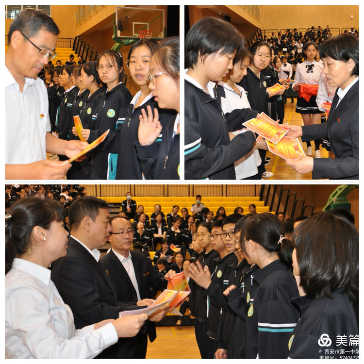 电子pg下载入口