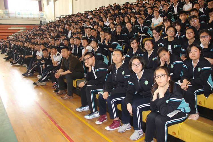 电子pg下载入口