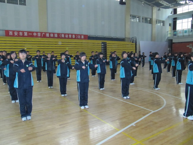 电子pg下载入口